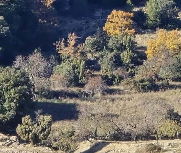 El Refugi * Chiva de Morella